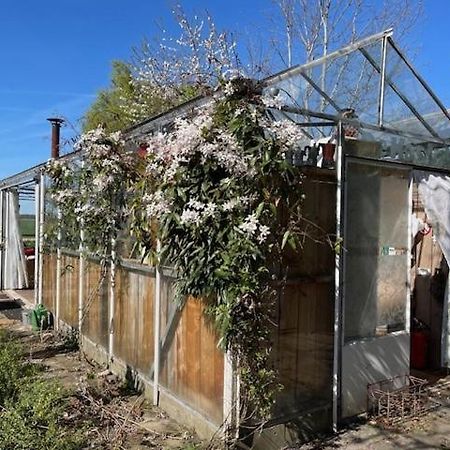 Vrijstaande Accommodatie Glamping De Kas Inn Hank Luaran gambar
